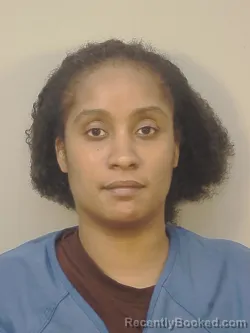 Mugshot of CHASTITY TAYON LINZY booked in Dane County, Wisconsin on March 28, 2026