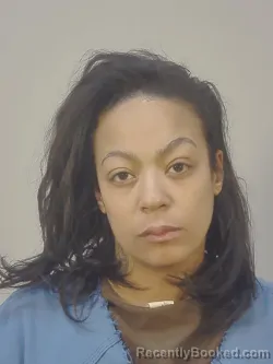 Mugshot of DOMINIQUE VIVIAN POSADOWSKA booked in Dane County, Wisconsin on March 28, 2026