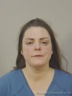 Mugshot of VENNESA MARIEKAREN WEBSTER booked in Dane County, Wisconsin on March 29, 2026