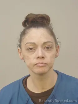 Mugshot of CHRISTY LOUISE MALLORY booked in Dane County, Wisconsin on April 1, 2026