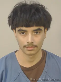 Mugshot of DANNY TAPIA-CARRILLO booked in Dane County, Wisconsin on April 3, 2026