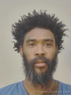 Mugshot of RODNEY ANGELO LEE booked in Dane County, Wisconsin on April 8, 2026