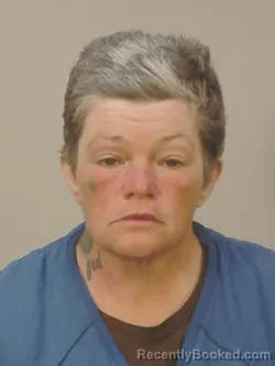 Mugshot of JENNIFER MICHELLE PALFREY booked in Dane County, Wisconsin on April 29, 2026
