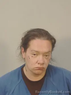 Mugshot of SHAWNNA RAE TYSVER booked in Dane County, Wisconsin on May 4, 2026