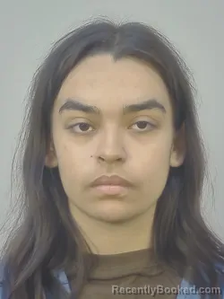 Mugshot of MARJORIE MARIANNA TORRES HERNANDEZ booked in Dane County, Wisconsin on May 13, 2026