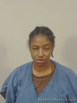 Mugshot of SHAKINA LASHAUN SPARKS booked in Dane County, Wisconsin on May 25, 2026