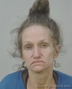 Mugshot of MINDY ANN HOSLER booked in Dane County, Wisconsin on June 15, 2026