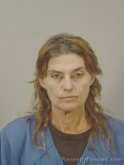 Mugshot of MARY SUE HAUG booked in Dane County, Wisconsin on July 7, 2026