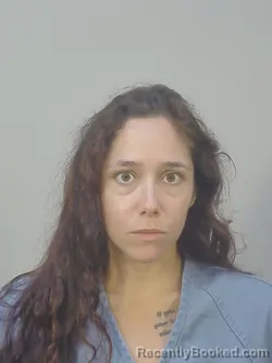 Mugshot of Vanessa Marie Ramos booked in Dane County, Wisconsin on September 4, 2026