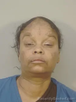 Mugshot of Lee Ann Anderson booked in Dane County, Wisconsin on October 23, 2026