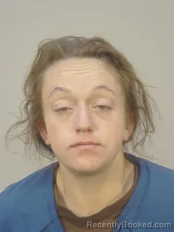 Mugshot of Anna Marie Dolsey booked in Dane County, Wisconsin on October 27, 2026