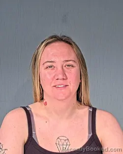 Mugshot of JESSICA LINNE HOMMEN