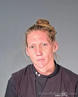 Mugshot of ASHLEY LYNN NEHLS