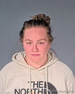 Mugshot of DANA RENEE BAUERNFEIND