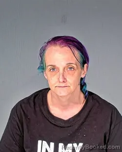 Mugshot of TENISHA FAYE BROOKS booked in Dodge County, Wisconsin on April 25, 2026