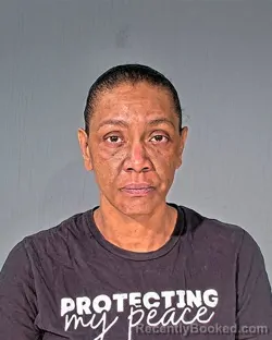 Mugshot of DIANE MARIE PRESCOTT booked in Dodge County, Wisconsin on March 31, 2026