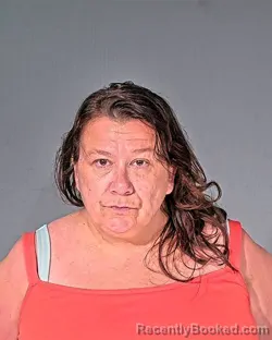 Mugshot of CHRISTY A GILDEMEISTER booked in Dodge County, Wisconsin on June 12, 2026