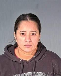 Mugshot of NATALI MERAZ