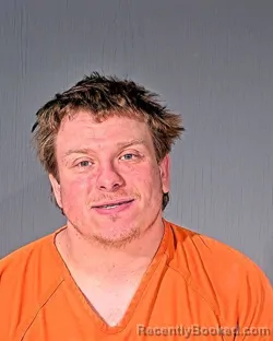 Mugshot of ANTHONY JOHN JOHNSON