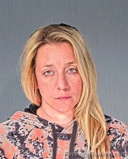 Mugshot of DANIELLE KATHLEEN LIENKE