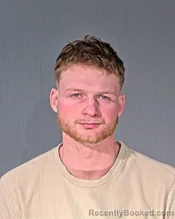 Mugshot of WILLIAM BRAXTON WALLACE