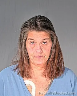 Mugshot of MICHELLE LYNN VALDOVINOS