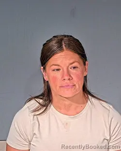 Mugshot of THERESA LOUISE LILLIE booked in Dodge County, Wisconsin on June 29, 2026