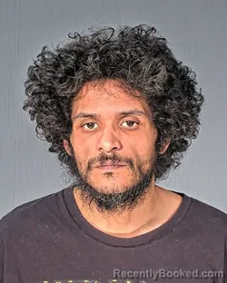 Mugshot of ANDREW JEROME ANDERSON