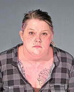 Mugshot of ASHLEE ANN WATSON