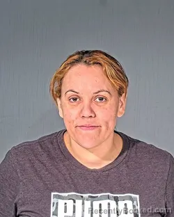 Mugshot of MARIA DELAROSAS TIZNADO
