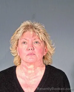 Mugshot of DEANNA BOLDREY BRAUNSCHWEIG