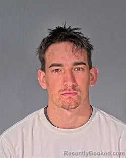 Mugshot of Emerson Richard Bradwin