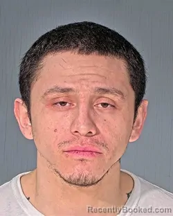 Mugshot of JOSE LUIS DELOSSANTOS