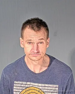 Mugshot of BRETT OHST LAMERS