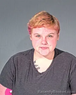 Mugshot of ANGALEANA JEAN KAISER booked in Dodge County, Wisconsin on April 3, 2026