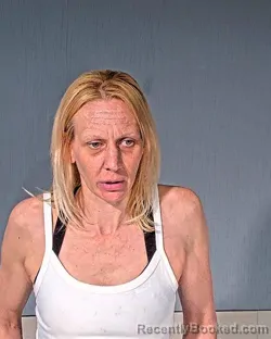 Mugshot of ASHLEY LYNN JOHNSON