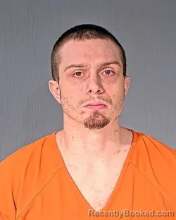 Mugshot of JESSE ALLEN BIVENS