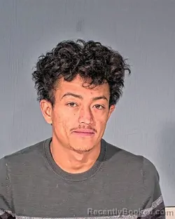 Mugshot of SAUEL JOSE PADILLAFLORES