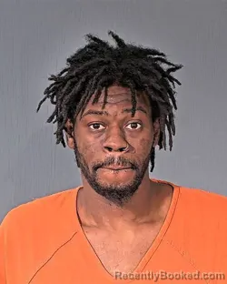Mugshot of STEPHON EFOSA OBOR
