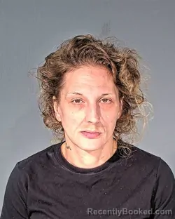 Mugshot of GINA ROSE VOIT booked in Dodge County, Wisconsin on July 13, 2026