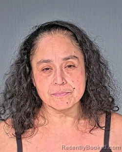 Mugshot of CLAUDIA BOBADILLAMICHEL