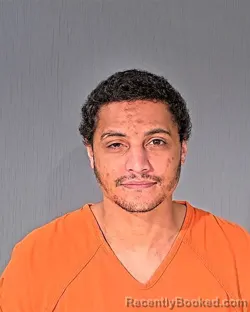 Mugshot of BRANDON RADLOFF