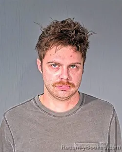 Mugshot of WILLIAM CORNELIUS ALBERS