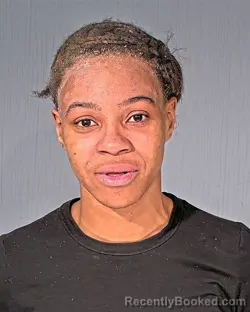 Mugshot of DANIELLE RENEE SPAIN