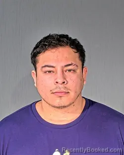 Mugshot of ELIAS OLVERASIFUENTES