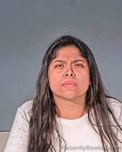 Mugshot of CRISTEL BELEN AGUILAPAREDES