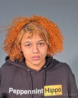 Mugshot of KAYLEIGH ANN LIEFFRING