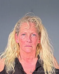 Mugshot of LISA MARIE KEENAN booked in Dodge County, Wisconsin on June 3, 2026