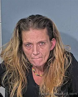 Mugshot of Michelle Marie Wood booked in Dodge County, Wisconsin on August 29, 2026