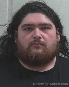 Mugshot of TYLER V VIDOVIC